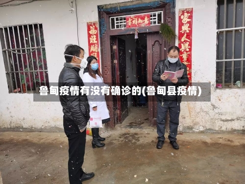 鲁甸疫情有没有确诊的(鲁甸县疫情)