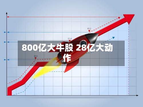 800亿大牛股 28亿大动作