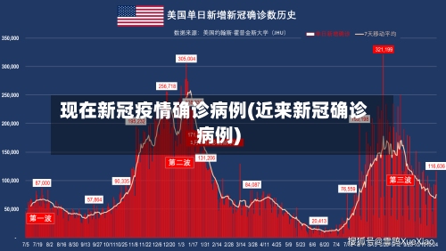 现在新冠疫情确诊病例(近来新冠确诊病例)-第2张图片