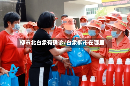 柳市北白象有确诊/白象柳市在哪里