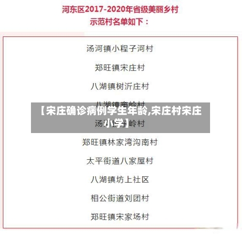【宋庄确诊病例学生年龄,宋庄村宋庄小学】-第2张图片