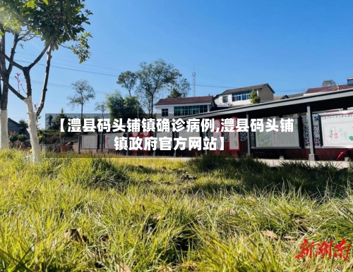 【澧县码头铺镇确诊病例,澧县码头铺镇政府官方网站】-第3张图片