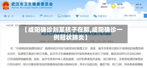 【咸阳确诊刘某孩子在那,咸阳确诊一例冠状肺炎】-第2张图片