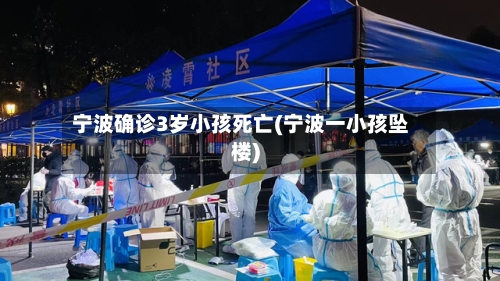 宁波确诊3岁小孩死亡(宁波一小孩坠楼)-第2张图片