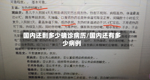 国内还剩多少确诊病历/国内还有多少病例
