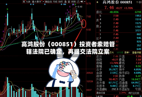 高鸿股份（000851）投资者索赔管辖法院已确定，再提交法院立案-第2张图片